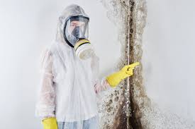 Best Emergency Mold Remediation  in Manton, MI